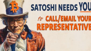 Protect Your Bitcoin Wallet Now