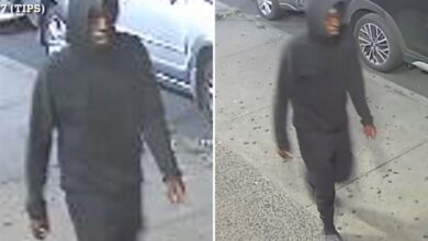 Sicko rapes teen sitting on NYC park bench – in second random sex attack in two days: cops