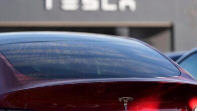 Tesla under investigation after parents say door handles trapped kids