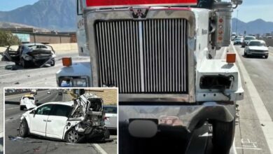 Trucker arrested after young half-sisters found in refrigerated trailer