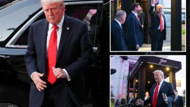 Trump dines out with Cabinet officials to demonstrate DC safety after crime crackdown
