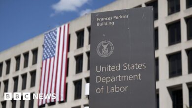 US watchdog launches review into BLS data collection