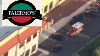 Wisconsin pizza factory worker Robert Cherone crushed to death by robotic machine