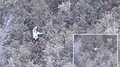 YouTube survival show contestant rescued after going missing for 18 hours in Michigan forest