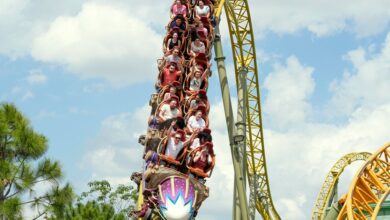 Disability played no role in man’s death after riding Universal roller coaster, lawyers say