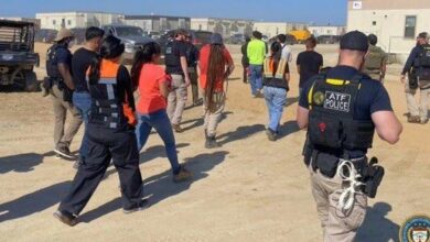 475 people detained in Georgia Hyundai raid by ICE, other agencies, officials say