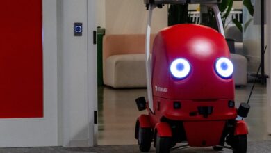 DoorDash unleashes fleet of delivery bots, called Dots, onto streets of Phoenix