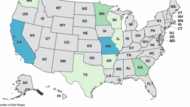 Salmonella outbreak linked to Metabolic Meals sickens more than a dozen people, 7 hospitalized, CDC says