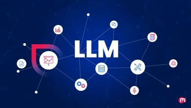 A Guide to Building A Custom LLM from Scratch