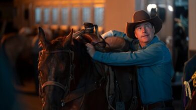 ABC’s New Spinoff Is an Absurd Thrill