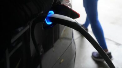 AI can help the environment, even though it uses tremendous energy. Here are 5 ways how