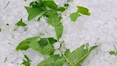 After hailstorm, this Colorado HOA sent homeowners ,000 bills