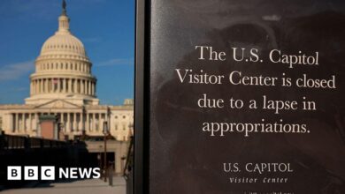 As US shutdown starts to bite, how much could it hit economy?