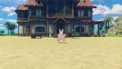 Blue Protocol: How to access shared storage