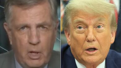 Brit Hume’s Hot Take On ‘No Kings’ Protests Gets Royally Roasted: ‘Come On’