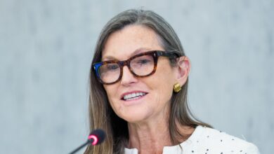 Cathie Wood flags market correction risk but rejects AI bubble fears