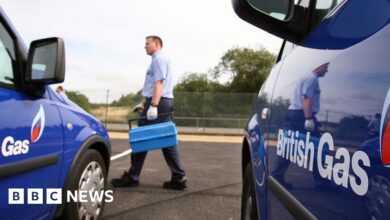 Centrica and Holland & Barrett fined for underpaying staff