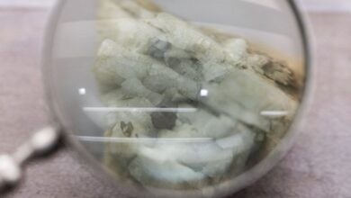 Concerned carmakers race to beat China’s rare earths deadline