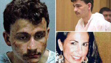 Connecticut son Sebastian Van Stockum beats mother Laura Williams to death with hammer, then runs off into woods screaming for ‘Mama’