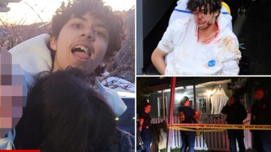 Cops were called to Staten Island horror house repeatedly on domestic violence calls before shock decapitation: sources