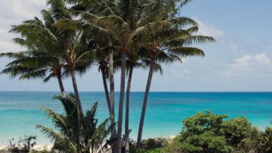 Cruise passenger, 80, found dead after being abandoned on Great Barrier Reef island