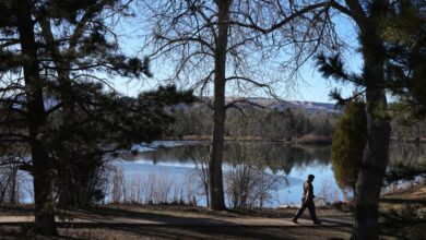 Developer of controversial Lakewood apartments near Belmar Park buys adjacent property