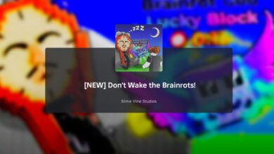 Don’t Wake the Brainrots: Wishing Well guide