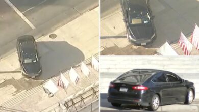 Driver crashes into steps of LA City Hall, barricades himself inside car: reports