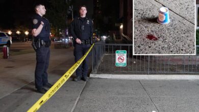 Good Samaritan stabbed trying to stop thief from stealing woman’s phone steps from Columbus Circle: cops