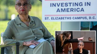 House member Eleanor Holmes Norton, 88, scammed out of ,000, has ‘early signs of dementia’