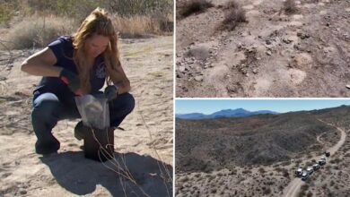Hundreds of cremated human remains discovered, recovered from Nevada desert