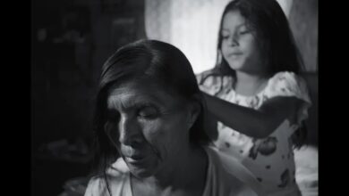 Jodie Foster, Juliette Binoche, Stellan Skarsgård Led Stars at Morelia