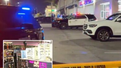 LA customer shoots dead alleged creep who groped shopper and threatened to kill everyone inside beauty store