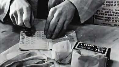 Lasting impact of mother’s diet during pregnancy revealed in rationing study