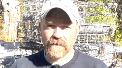 Maine Senate Candidate Apologizes For Inflammatory Reddit Posts