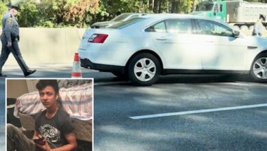 Man fleeing immigration agents is fatally struck by a vehicle on a Virginia highway