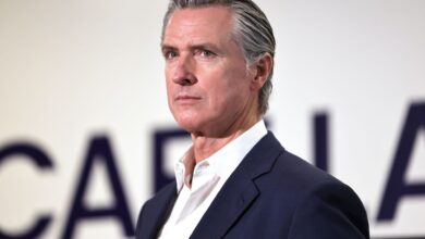 Melanie King calls Gavin Newsom the “biggest beneficiary” of Palisades wildfire: Details explored