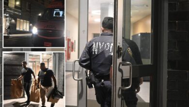 NYC girl, 12, left clinging to life in stepfather’s violent stabbing rampage that also injured her mom: cops