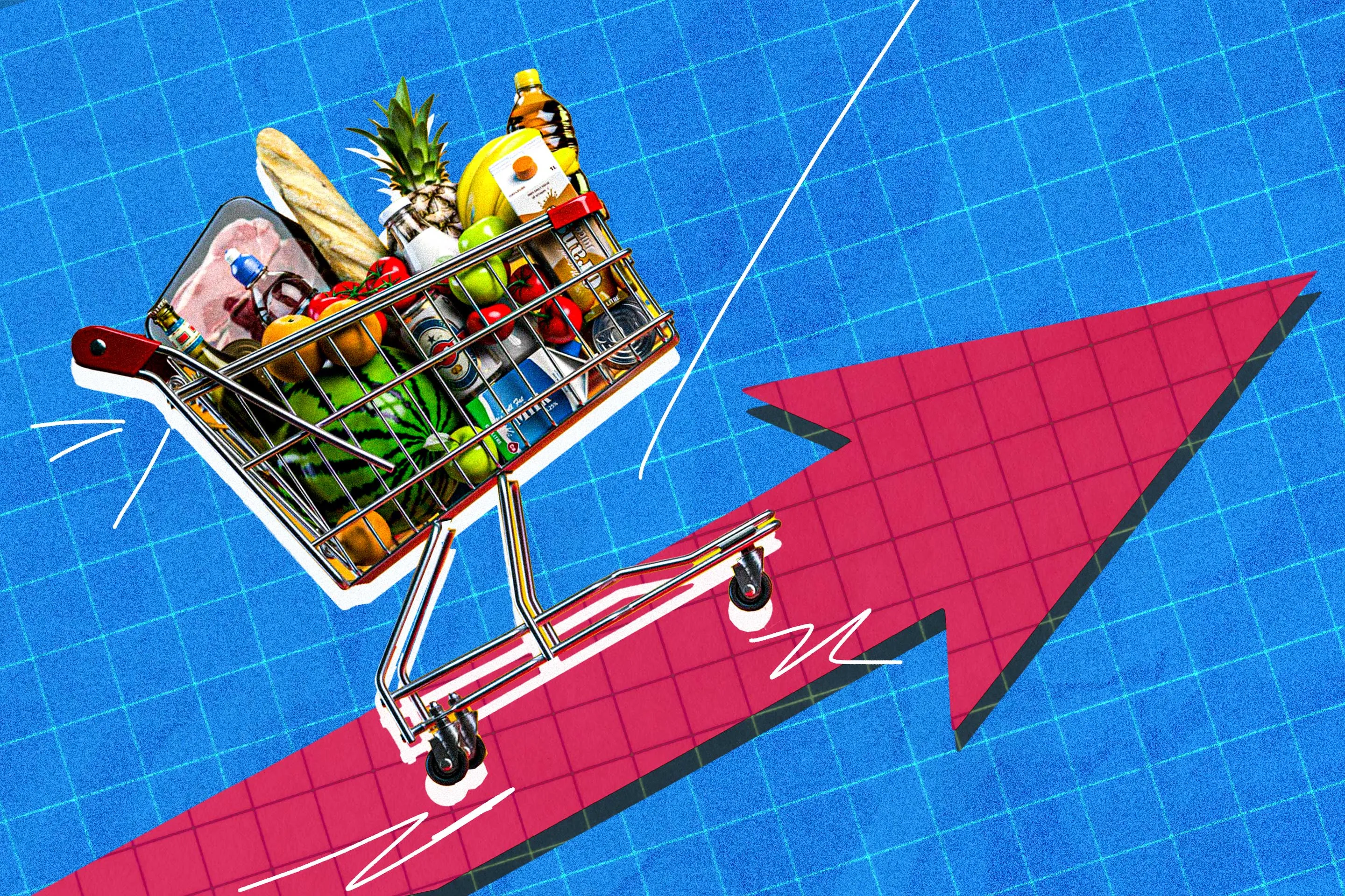 Grocery Prices Are ‘Never’ Coming Down, Experts Say