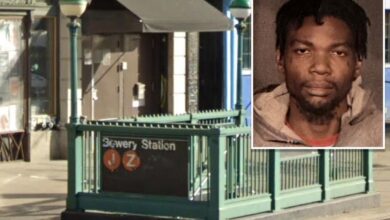 Nutjob with 86 arrests slugs stranger onto NYC subway tracks in terrifying anti-Asian spree: sources