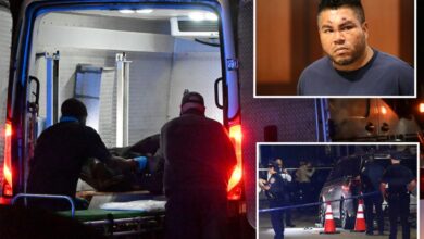 Once-idyllic section of Queens sees murders rise 62% in just a year