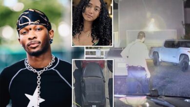 Rapper D4vd transfers deeds to Texas homes to mother following swatting incident: report