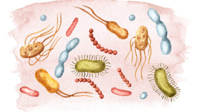 SAMHSA, Moderna, Hurricane Melissa: Morning Rounds