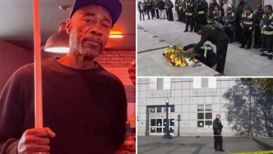 San Francisco street ambassador shot dead while confronting drug user outside library