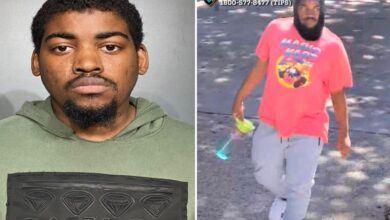 Serial creep tried to rape girl, 12, inside NYC apartment building — just a week after being cut loose in similar attacks