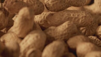 Some 60,000 kids have avoided peanut allergies due to landmark 2015 advice, study finds