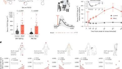 Stress alters metabolic hormone with health consequences, study shows