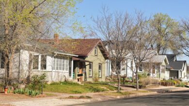 Suburban Denver elections feature questions on taxes, charter changes