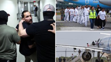 Trump admin on pace to shatter deportation record by end of first year: ‘Just the beginning’