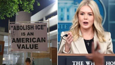 Trump directs admin to review federal funding to Portland amid anti-ICE ‘anarchy,’ Leavitt says